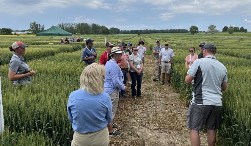 Picture 1 6.24.25.jpg